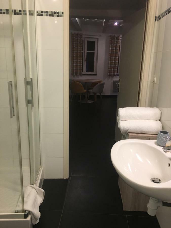 Les Appartements Berthe Molly Colmar Eksteriør bilde